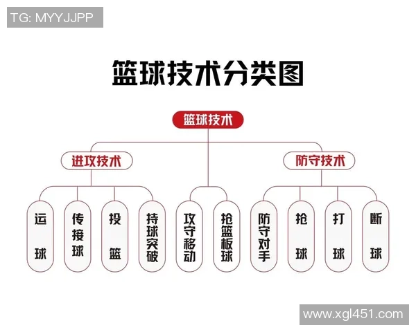 全面评测2023年最新篮球性能与技术特点助你选择最佳球具 全面评测2023年最新篮球性能与技术特点助你选择最佳球具
